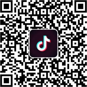 抖音小程序